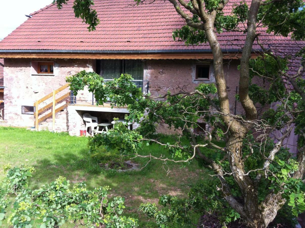 Gite Emeraude Plaine Ngoại thất bức ảnh